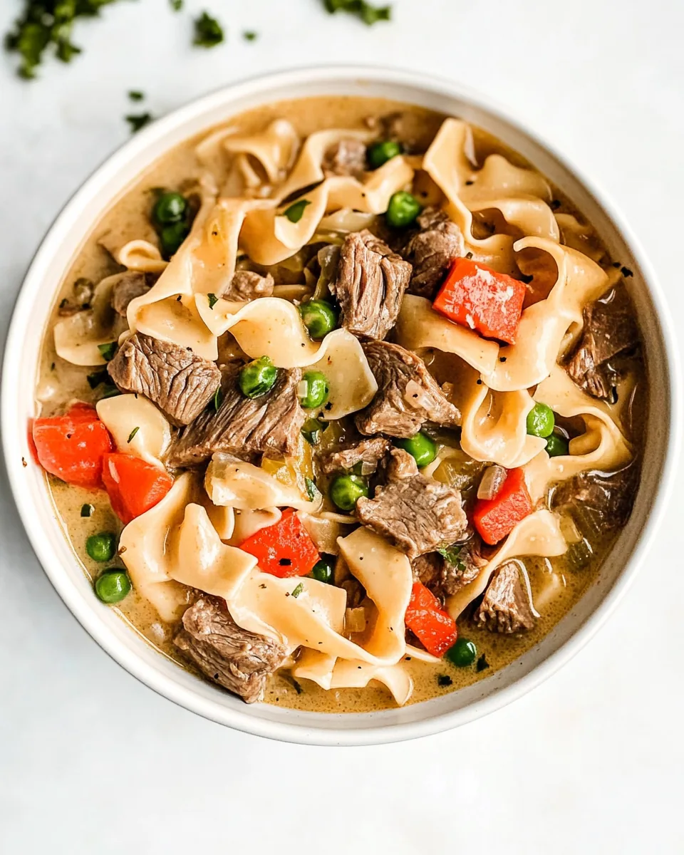 Beef Noodle Soup