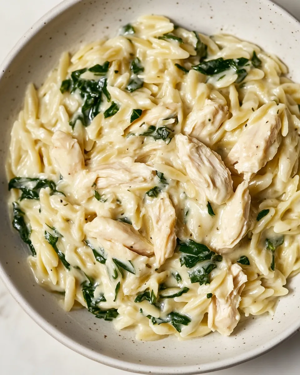 Boursin Orzo with Chicken