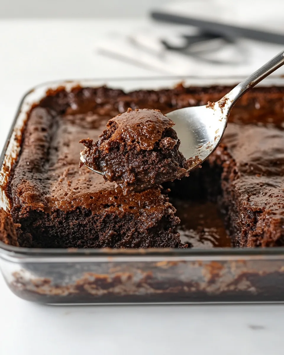 Chocolate Pudding Cake