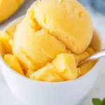 Creamy Refreshing Mango Sorbet