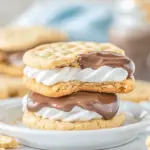 Easy Copycat Girl Scout S'mores Cookies