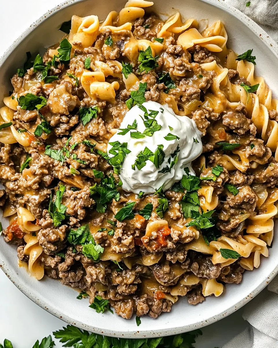 Hamburger Stroganoff