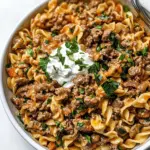 Hamburger Stroganoff