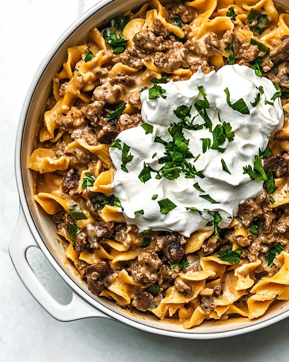 Hamburger Stroganoff