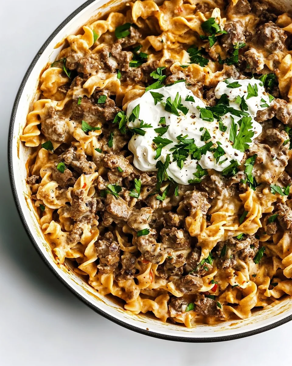 Hamburger Stroganoff