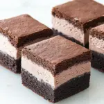 Malted Fudge Brownie Ice Cream Sandwiches