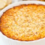 Sweet Onion Parmesan Dip